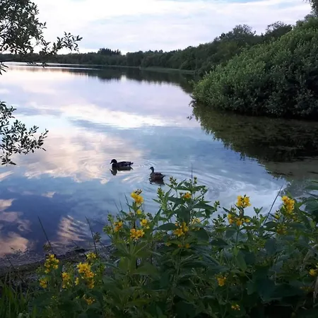 6 Person In Ansager-by Traum * Ansager