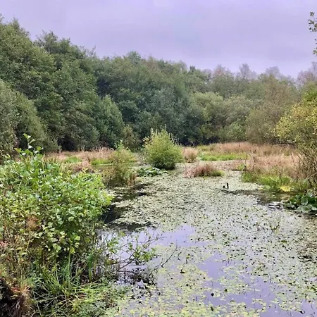 Prázdninový dům 6 Person In Ansager-by Traum